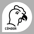 CONDOR CONDOR